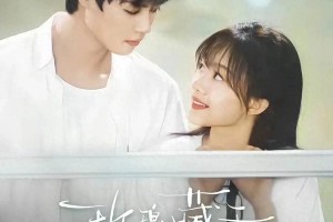 柯淳《玫瑰藏于盛夏》引爆短剧市场，五大看点解析