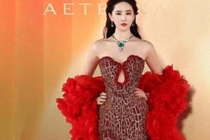 贾玲身材争议：审美焦虑与女性价值的深层探讨