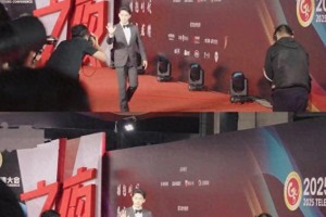 张晚意厅局风红毯走红：揭秘反油腻人设爆火内幕