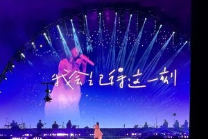 肖战穿纪念T恤看孙燕姿演唱会 发文致敬青春