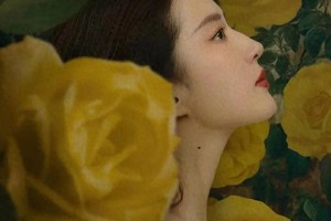 《玫瑰的故事》黄亦玫情感历程：刘亦菲演绎四段刻骨铭心爱情