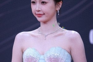 精彩图片集锦：视觉盛宴一览