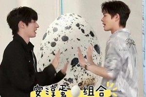 安淳蛋组合爆火：柯淳颜安抽象日常吸粉无数