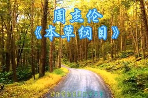 周杰伦《本草纲目》歌词解析与创作背景