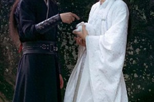 肖战王一博《陈情令》爆红：顶流明星的崛起之路