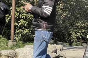 向佐奇装异服引争议：星二代的艺术表达与公众接受度